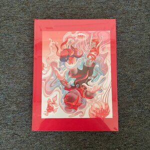 James Jean - Eternal Spiral book in coral